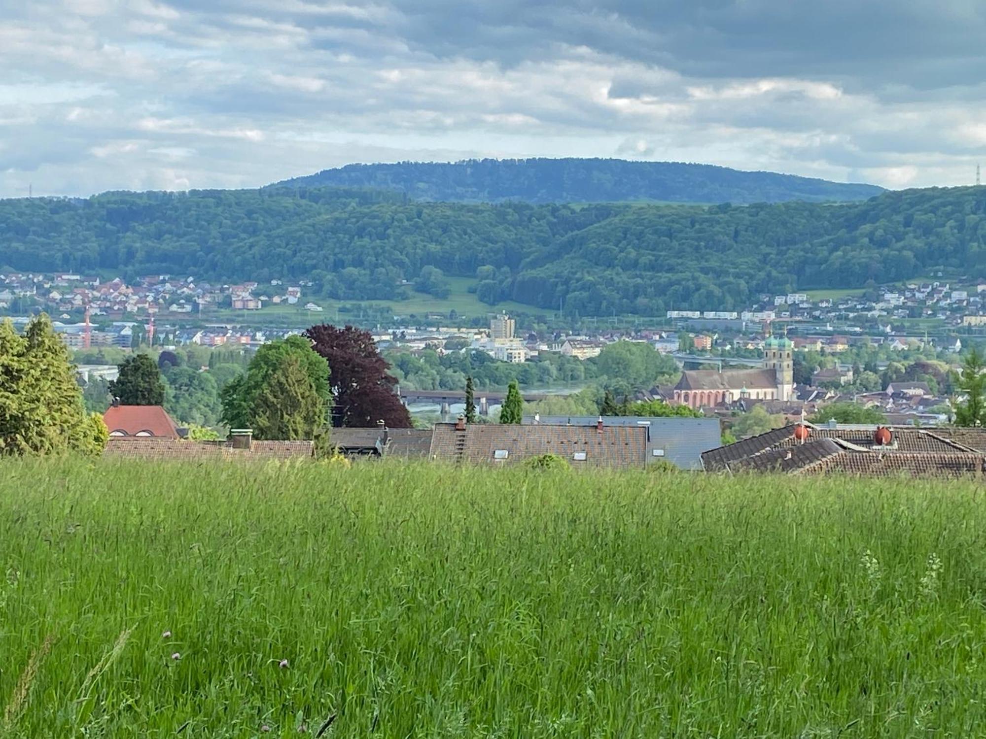 Stilvolle Wohnung In Idyllischer Lage Bad Sackingen Bagian luar foto